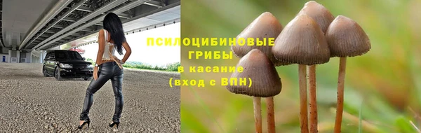 дмт Верея