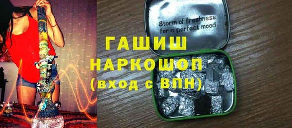 дмт Бородино