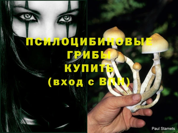 шишки Верхнеуральск