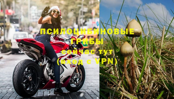 шишки Верхнеуральск