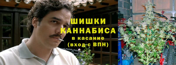 шишки Верхнеуральск