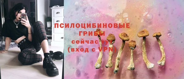 дмт Верея