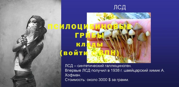 spice Верхний Тагил