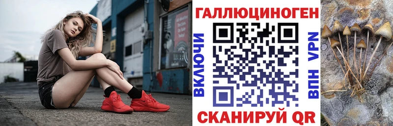 Псилоцибиновые грибы прущие грибы  даркнет сайт  Уссурийск 